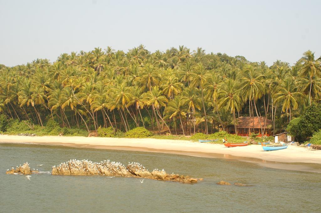 Chera Rocks Beach House Hotel Thottada Phòng bức ảnh